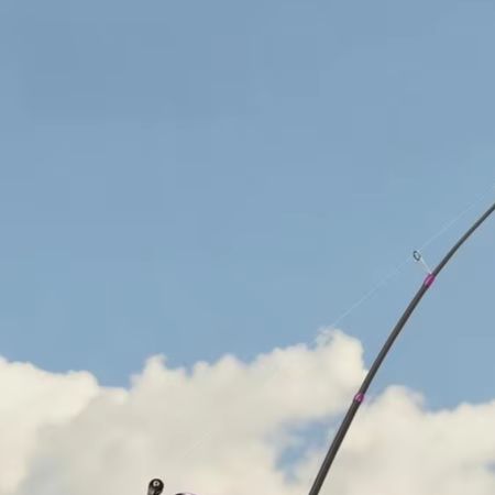Fishing Rod Carbon Fiber - Canna da Pesca Dedicata BFS 1.8M,