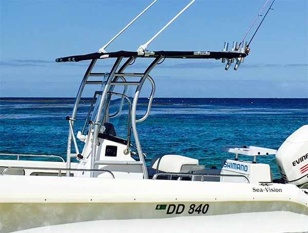 Promozione! Dolphin Pro2 Conso - Fishing Rod Holder recensione e prezzo